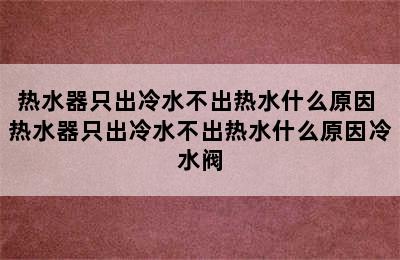 热水器只出冷水不出热水什么原因 热水器只出冷水不出热水什么原因冷水阀